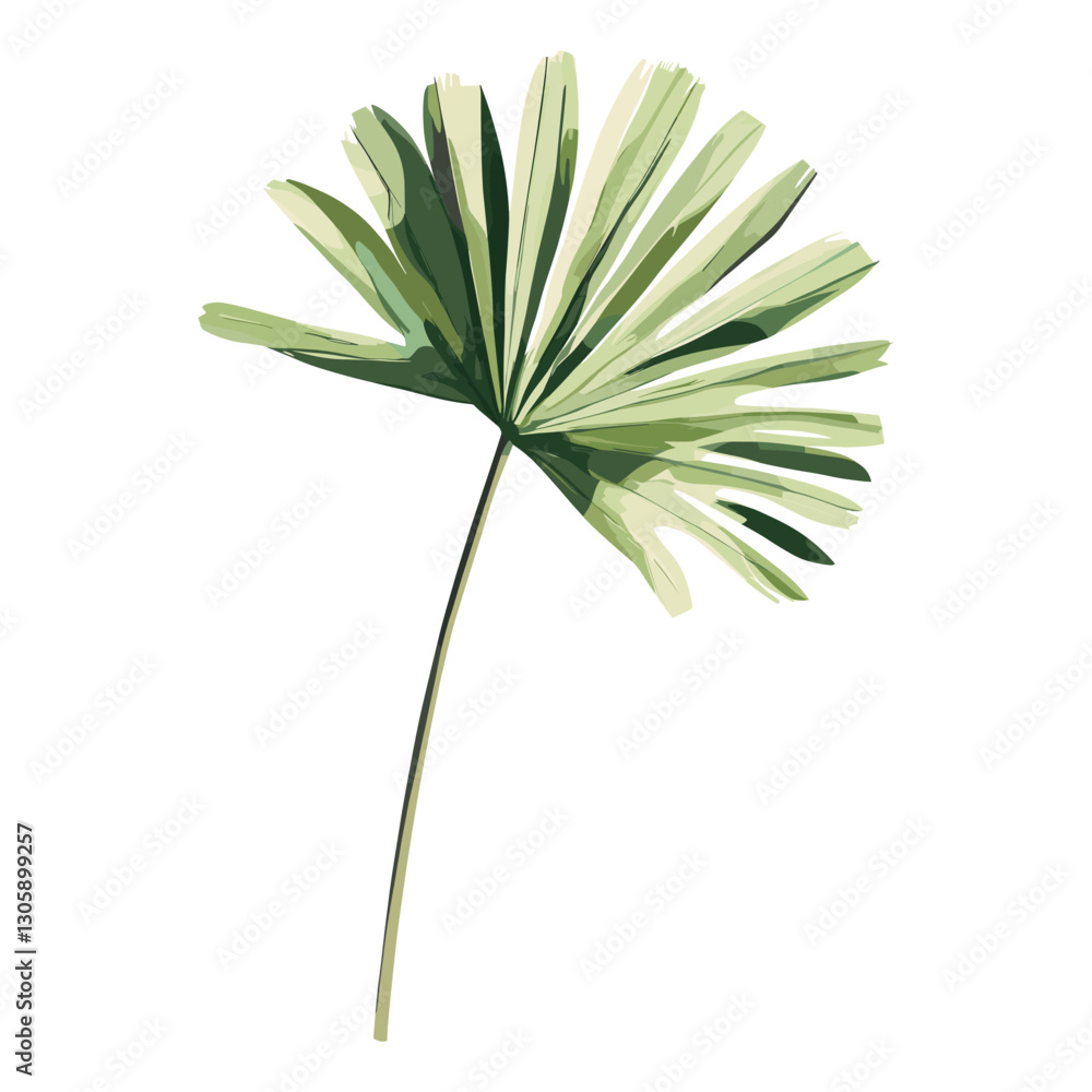 Palm art illustration minimalist vector