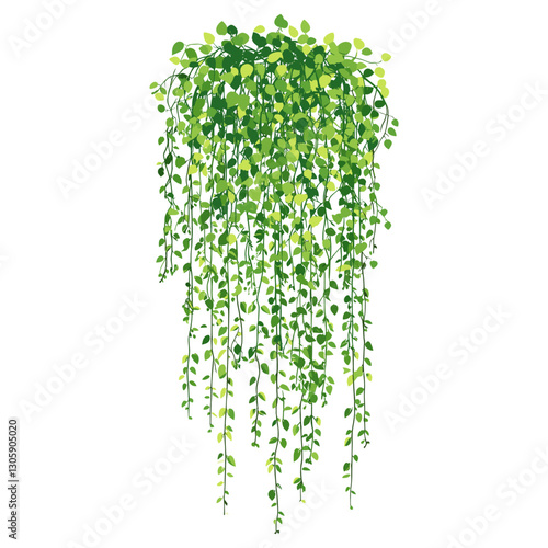 Long hanging jungle vines illustration leaves plant vector