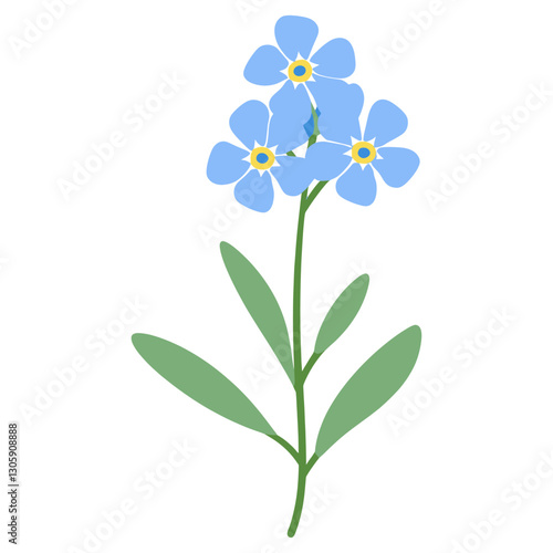 Forget-Me-Not flower illustration simple leaves  vector