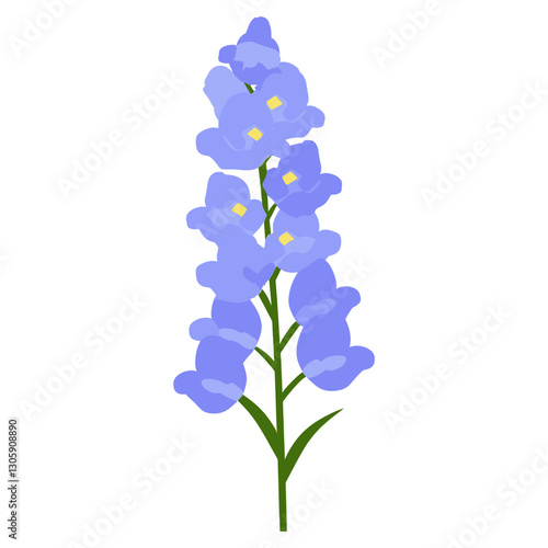 Delphinium flower illustration art botanical  vector