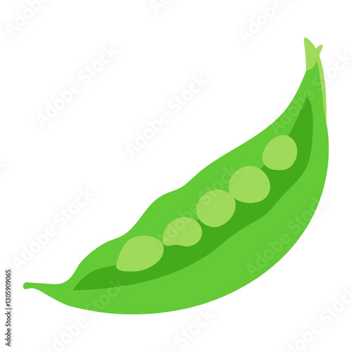 Green peas illustration vegetable produce vector