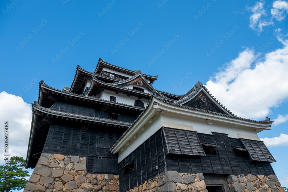 Fototapeta premium Matsue Castle, a famous landmark