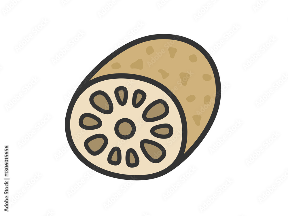 Fototapeta premium レンコンのアイコン（線画カラー）のイラスト