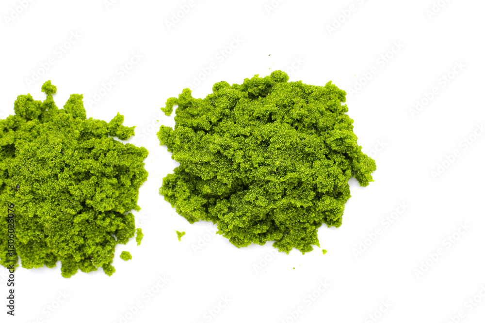 Obraz premium Fresh water alga, water meal or swamp algae