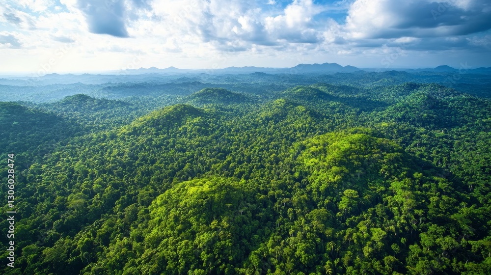 aerial view of lush green forest showcasing natural diversity and environmental preservation. International Day of Forests aerial view of lush green forest showcasing natural diversity and environmental preservation. International Day of Forests