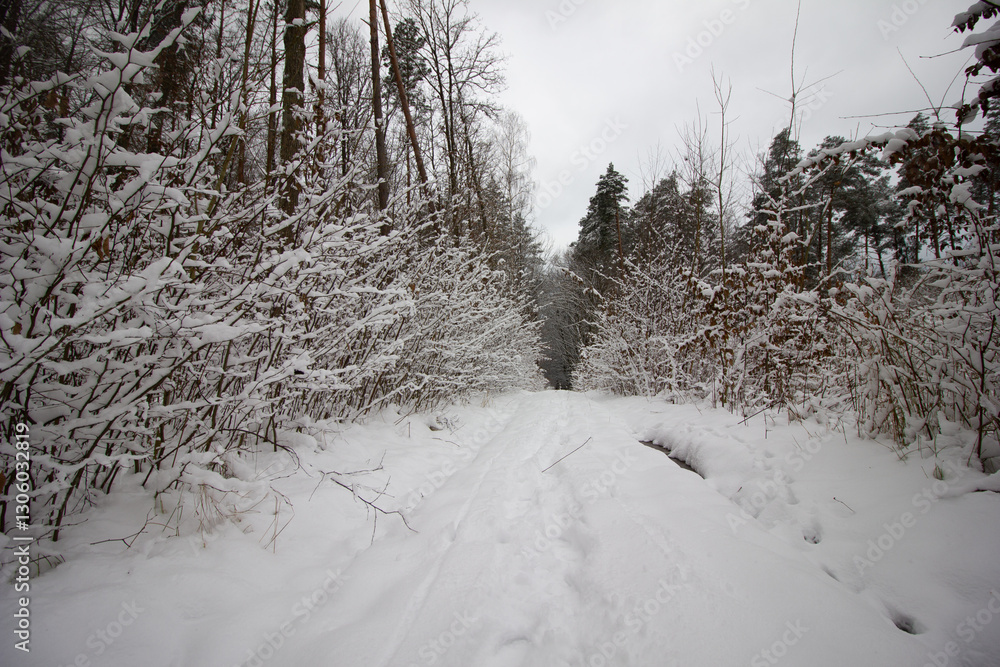 weather forecast, snowy season, snowfall, beautiful winter, winter holidays, walks in the forest, snow in the forest, global cooling, winter of the century
weather forecast, snowy season, snowfall, beautiful winter, winter holidays, walks in the forest, snow in the forest, global cooling, winter of the century