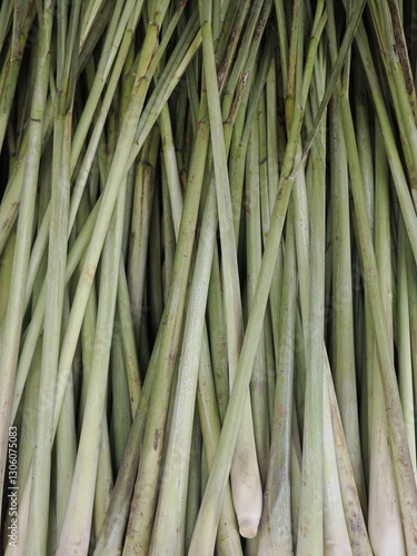 fresh lemon grass 