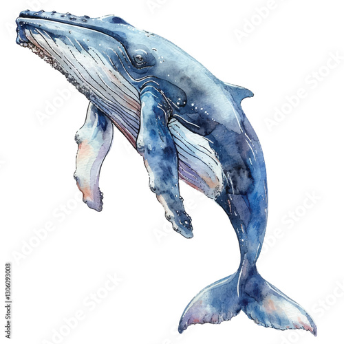 A whale breaching cartoon style watercolor