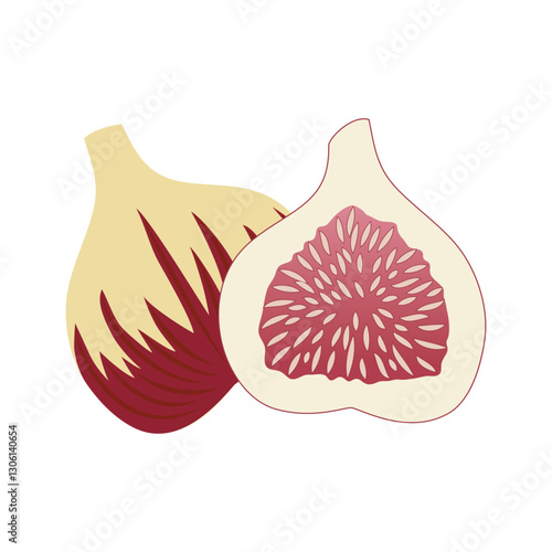 いちじく　実の外見　実の断面　ベクターのアイコンイラスト