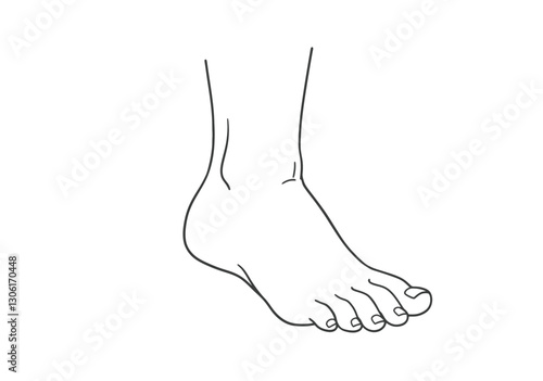 Foot Outline Clipart. This image shows a simple black outline of a human foot with five toes. Vector illustration design.