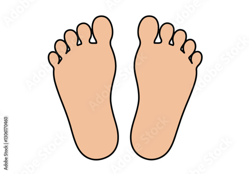 Picture of Feet Clipart. This image shows a pair of feet with five toes each. Vector illustration design.