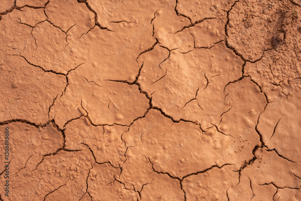 Cracked dry earth with deep fissures forming an intricate pattern. The parched, brown soil reflects extreme drought conditions, creating a rough and textured landscape of dehydration and climate Cracked dry earth with deep fissures forming an intricate pattern. The parched, brown soil reflects extreme drought conditions, creating a rough and textured landscape of dehydration and climate