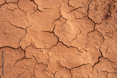 Cracked dry earth with deep fissures forming an intricate pattern. The parched, brown soil reflects extreme drought conditions, creating a rough and textured landscape of dehydration and climate