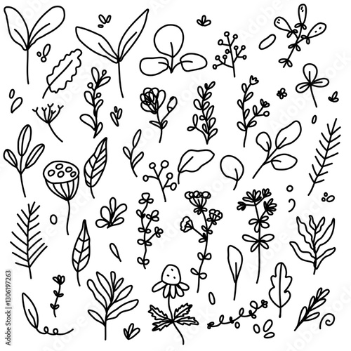Floral, Branches Doodle Vector Set Isolated 