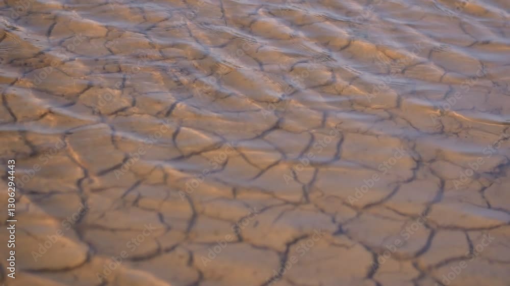 shallow water in the sand, abstract texture, Cracked soil in shallow water shallow water in the sand, abstract texture, Cracked soil in shallow water