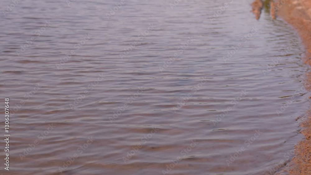 shallow water in the sand, abstract texture, Cracked soil in shallow water shallow water in the sand, abstract texture, Cracked soil in shallow water