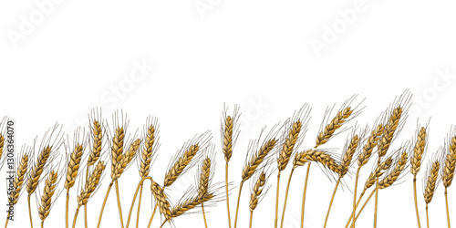 Hand drawn wheat ears seamless border