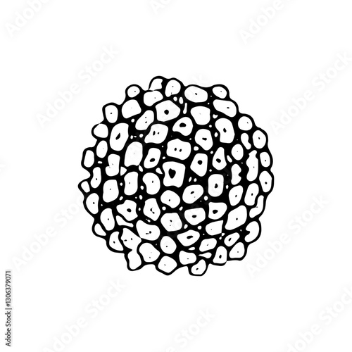 Vector illustration of the Hepatitis B virus in black and white. Hand drawn viral cell white background. ideal for medical, microbiology, and healthcare designs related to infection and immunity