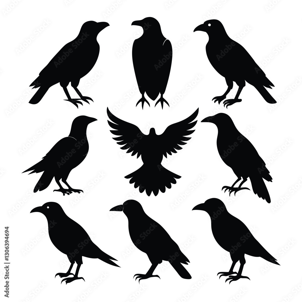 Fototapeta premium set of crow icons of silhouette vector design