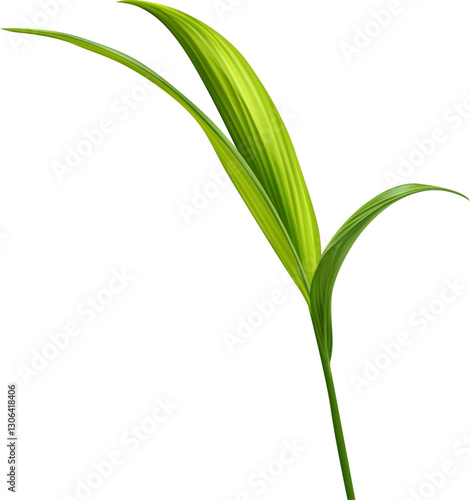 Wallpaper Mural Jungle Leaf Torontodigital.ca