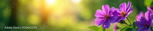 Vibrant purple violet against sunny sky, lush green background , bright colors, purple blooms