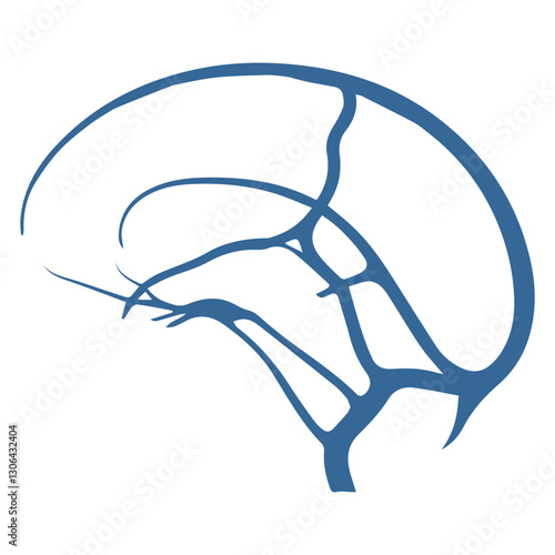 Cerebral veins colored icon