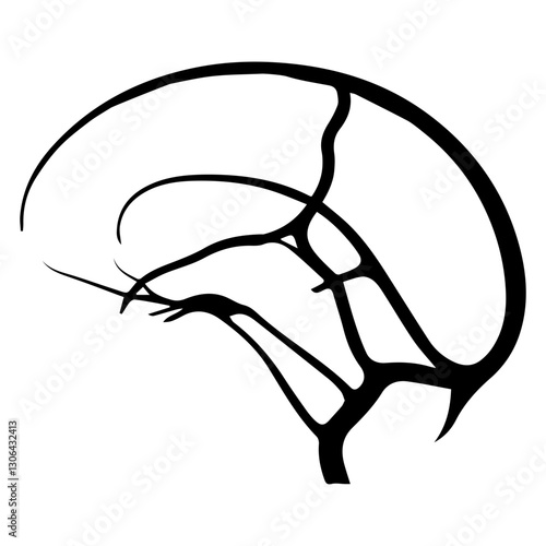 Cerebral veins glyph icon