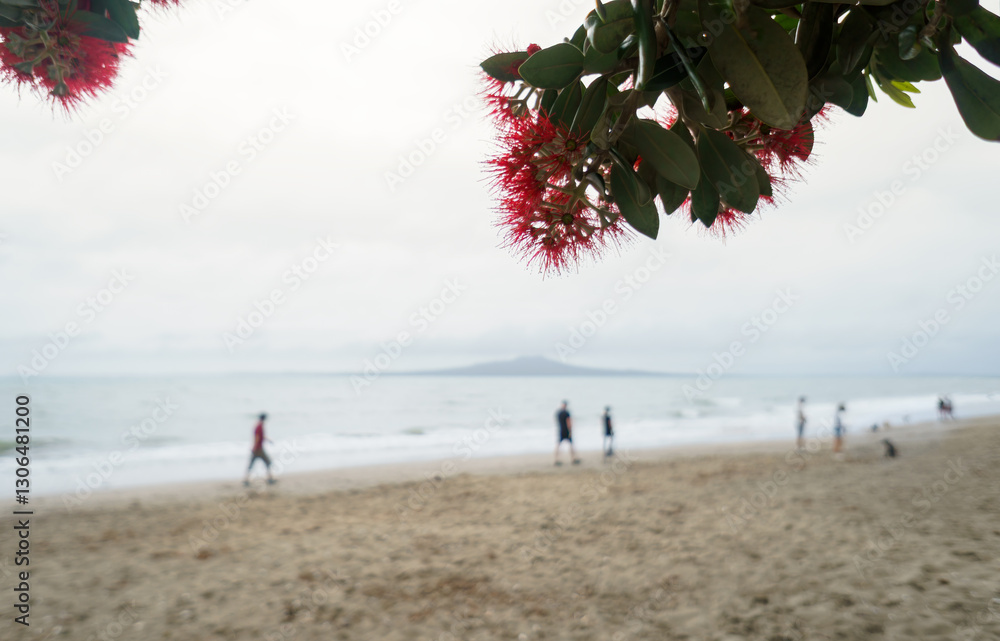 Pohutukawa trees in full bloom. Unrecognizable people and dogs walking on the beach. Milford Beach. Auckland.