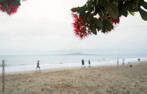 Obraz na płótnie Pohutukawa trees in full bloom. Unrecognizable people and dogs walking on the beach. Milford Beach. Auckland. w salonie