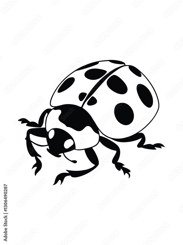 Obraz premium ladybird on a white background