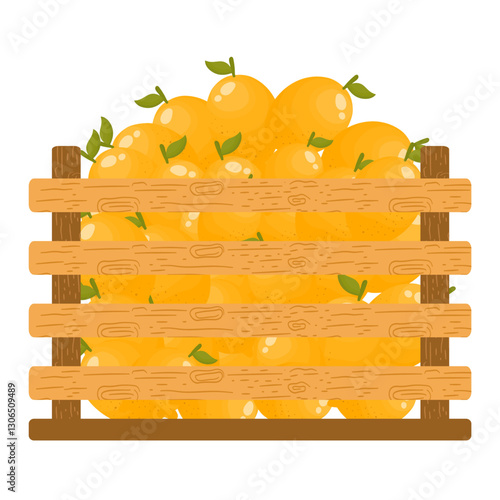 Fresh Fruits in Wooden Crates. Fresh Oranges Illustration