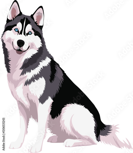 siberian husky dog vector illustration white background