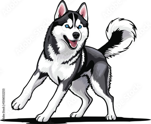 siberian husky dog vector illustration white background