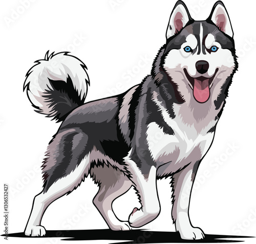 siberian husky dog vector illustration white background