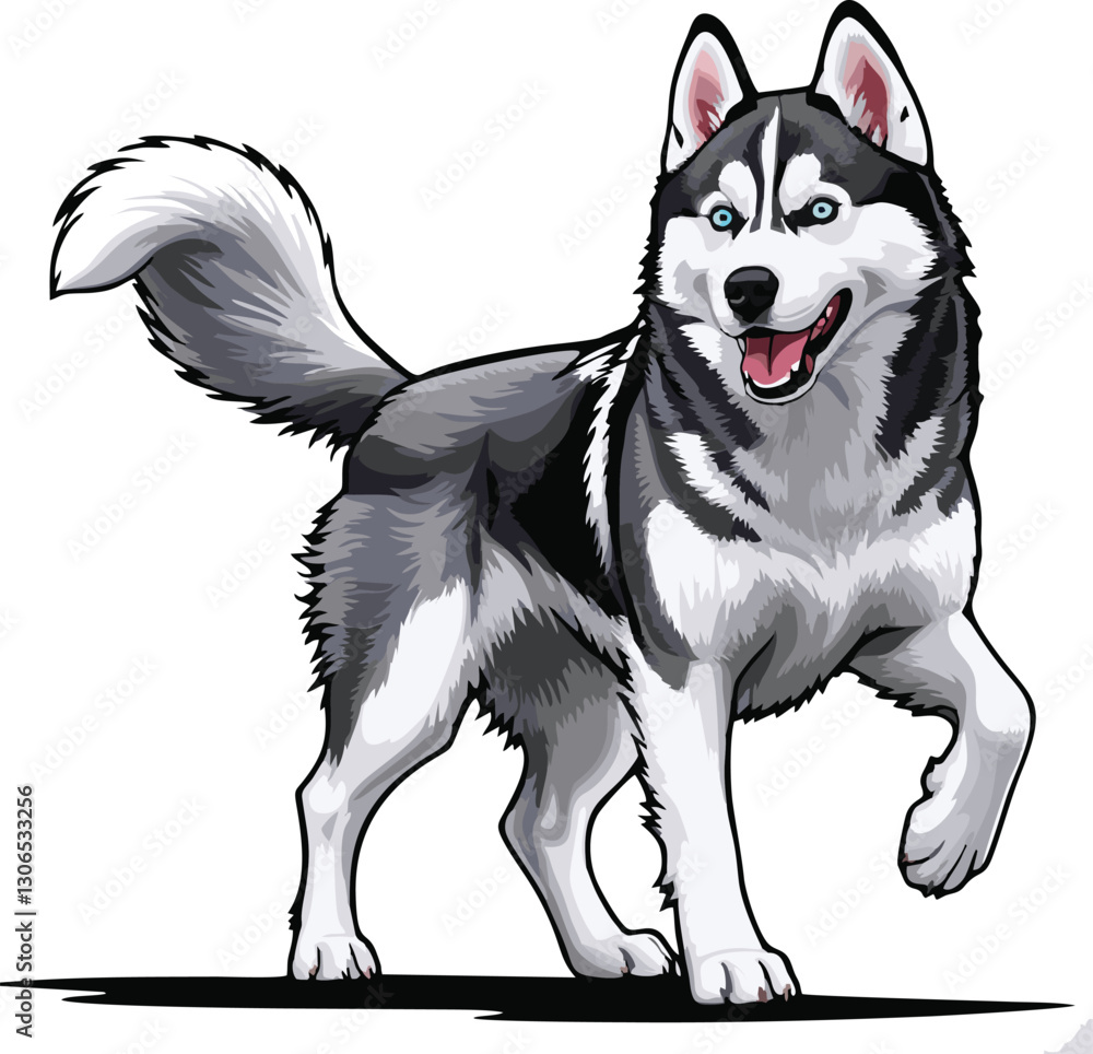 Fototapeta premium siberian husky dog vector illustration white background