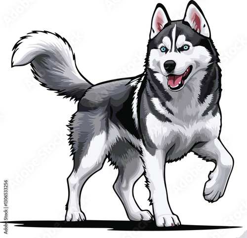 siberian husky dog vector illustration white background
