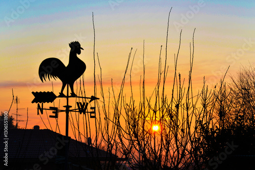Gallo segnavento all'alba