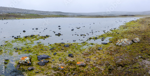 Scenic view of wetlands on the Sanetti Plateau in the Bale Mountains National Park. Ethiopia.