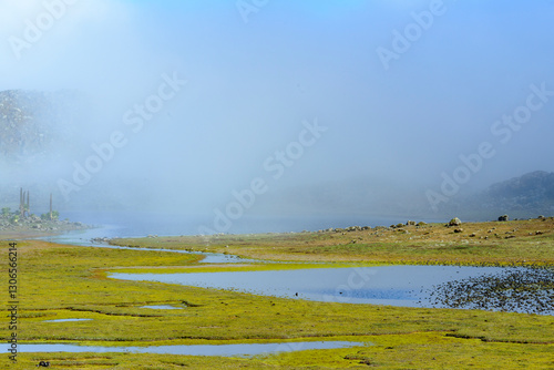 Scenic view of wetlands on the Sanetti Plateau in the Bale Mountains National Park. Ethiopia.