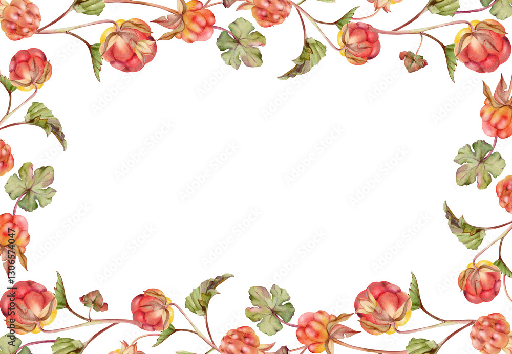 Cloudberry raspberry on stems with green leaves hand drawn in watercolor, ripe forest berry. Isolated botanical illustration garland frame corner. Restaurant, cafe menu, farmers market, recipe book Cloudberry raspberry on stems with green leaves hand drawn in watercolor, ripe forest berry. Isolated botanical illustration garland frame corner. Restaurant, cafe menu, farmers market, recipe book