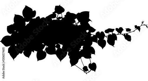 vine vector grape ivy plant, leaves tropic hanging, border decoration plant. Isolated on a transparent background. PNG, cutout, or clipping path.