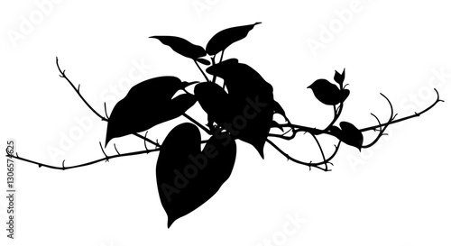 vine vector grape ivy plant, leaves tropic hanging, border decoration plant. Isolated on a transparent background. PNG, cutout, or clipping path.