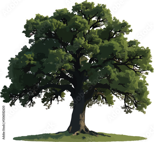Majestic Oak Tree, Isolated on White Background