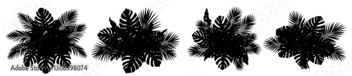 Collection of black vector leaves of tropical plants bush (Monstera, palm, rubber plant, pine, bird's nest fern). PNG, cutout, or clipping path.