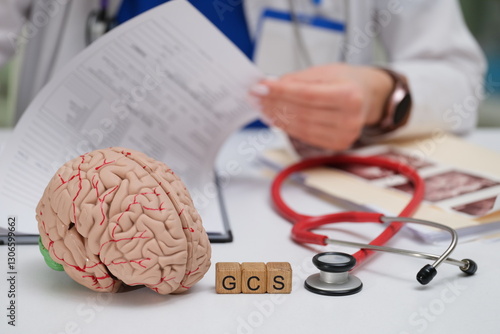 A doctor diligently reviewing patient files while utilizing a brain model and GCS cubes for comprehensive assessment