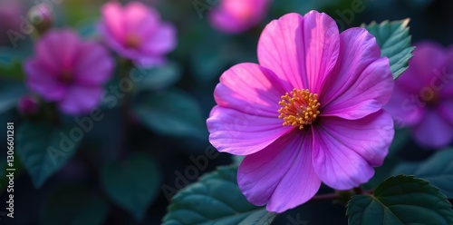Large purple flower blooms with intricate details, flower blooms, large flower, floral details