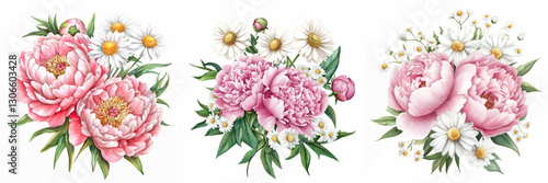 Watercolor bouquet set of pink peony and white chamomile. Romantic watercolor bouquets for spring designs, rustic designs etc. Watercolor bouquet of flowers on white isolated background.