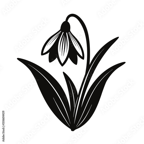 snowdrop flower silhouette vector