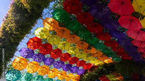 Photography Miracle Garden in Dubai, United Arab Emirates