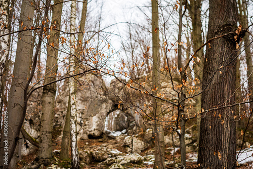 Fototapeta Naklejka Na Ścianę i Meble -  brama Twardowskiego na jurze krakowsko-częstochowskiej w zimowej scenerii